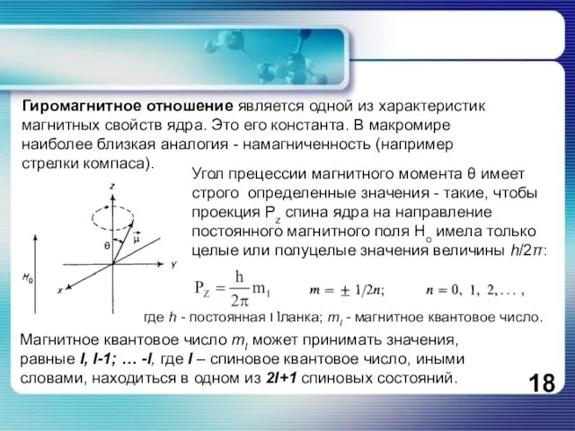 Гиромагнитное отношение является одной из характеристик магнитных свойств ядра. Это его