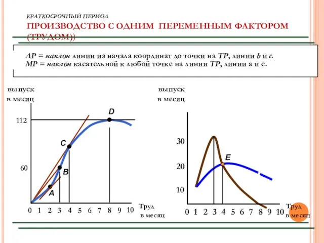 КРАТКОСРОЧНЫЙ ПЕРИОД ПРОИЗВОДСТВО С ОДНИМ ПЕРЕМЕННЫМ ФАКТОРОМ (ТРУДОМ)) Труд в месяц