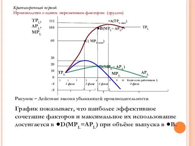 •А(TPL-max) •В(MPL= APL) TPL •C( MPL-max) APL •D(MPL= APL) MPL TPL