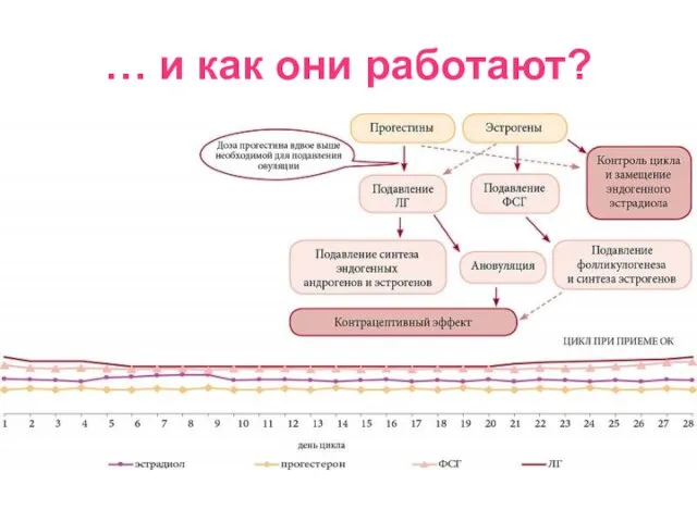 … и как они работают?