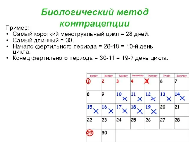 Биологический метод контрацепции Пример: Самый короткий менструальный цикл = 28 дней.