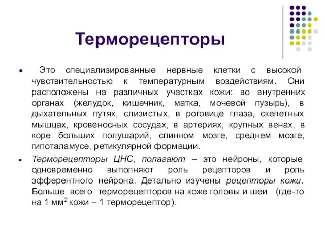 Терморецепторы Это специализированные нервные клетки с высокой чувствительностью к температурным воздействиям.