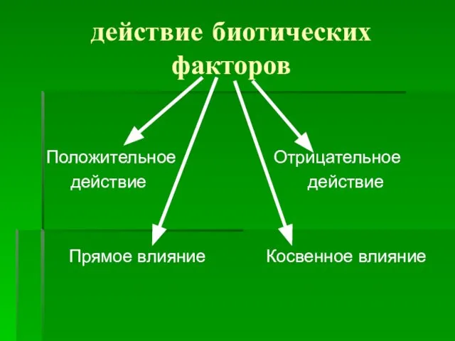 действие биотических факторов Положительное действие Прямое влияние Отрицательное действие Косвенное влияние