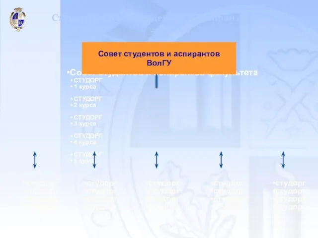 Структура Совета студентов и аспирантов ВолГУ к 2013 году. Совет студентов