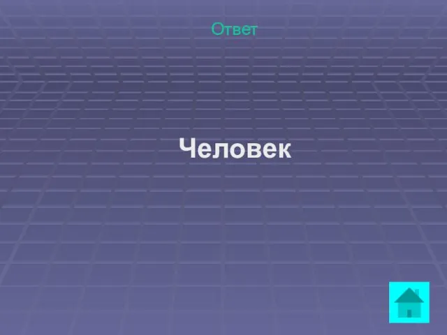 Ответ Человек