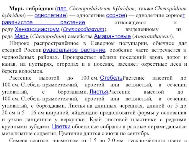 Марь гибри́дная (лат. Chenopodiástrum hýbridum, также Chenopódium hybridum) — однолетние) —