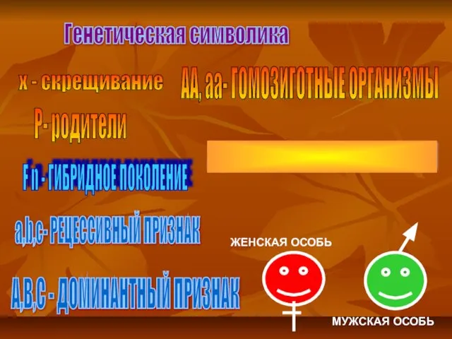 х - скрещивание А,В,С - ДОМИНАНТНЫЙ ПРИЗНАК Аа, Вb- ГЕТЕРОЗИГОТНЫЕ ОРГАНИЗМЫ