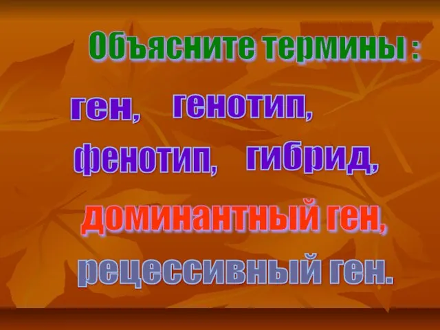 Объясните термины : ген, генотип, доминантный ген, рецессивный ген. фенотип, гибрид,