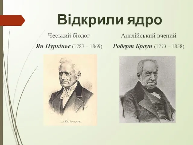 Відкрили ядро Чеський біолог Ян Пуркіньє (1787 – 1869) Англійський вчений Роберт Броун (1773 – 1858)