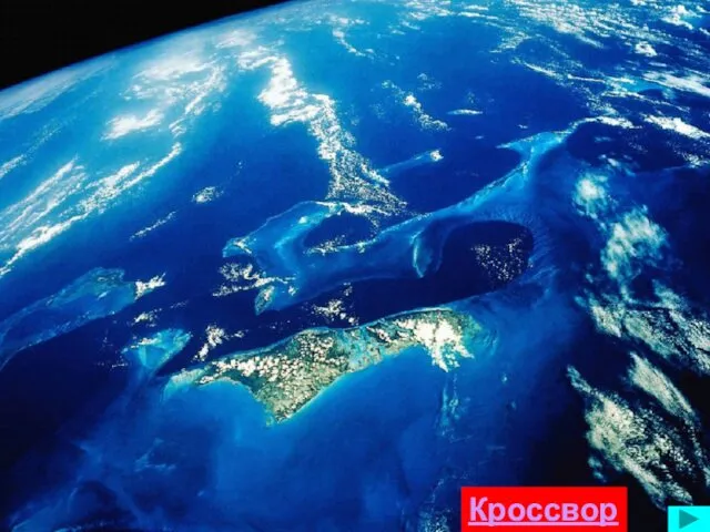 Кроссворд