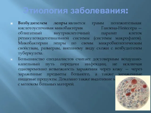 Этиология заболевания: Возбудителем лепры является грамм положительная кислотоусточивая микобактерия Ганзена-Нейссера —