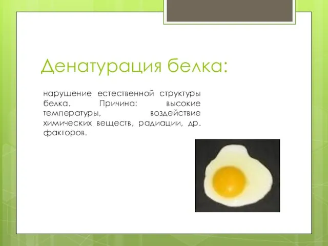 Денатурация белка: нарушение естественной структуры белка. Причина: высокие температуры, воздействие химических веществ, радиации, др. факторов.