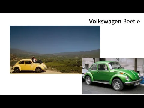 Volkswagen Beetle