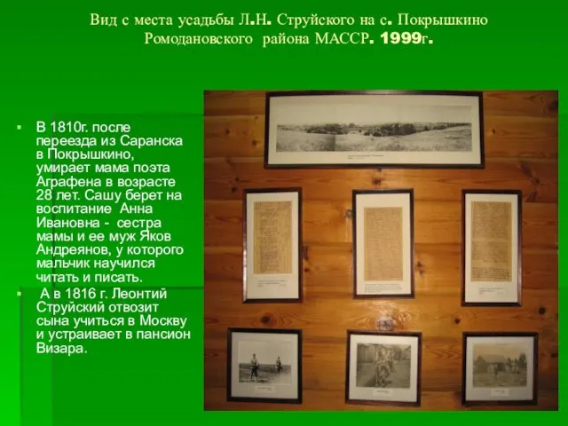 Вид с места усадьбы Л.Н. Струйского на с. Покрышкино Ромодановского района