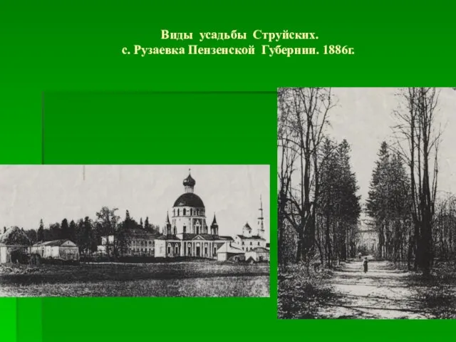 Виды усадьбы Струйских. с. Рузаевка Пензенской Губернии. 1886г.