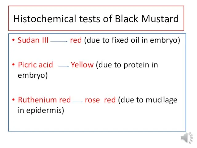 Histochemical tests of Black Mustard Sudan III red (due to fixed