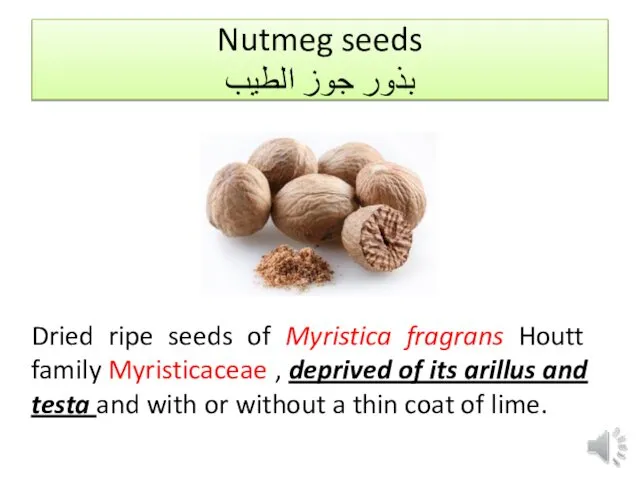 Nutmeg seeds بذور جوز الطيب Dried ripe seeds of Myristica fragrans