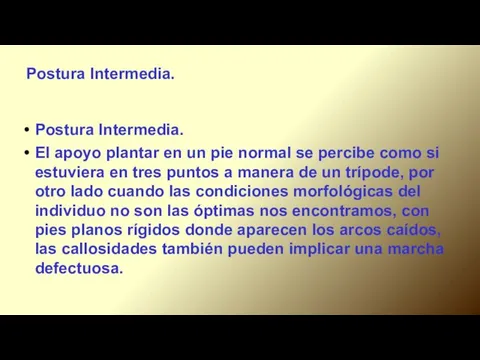 Postura Intermedia. Postura Intermedia. El apoyo plantar en un pie normal