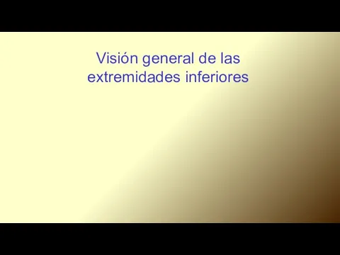 Visión general de las extremidades inferiores