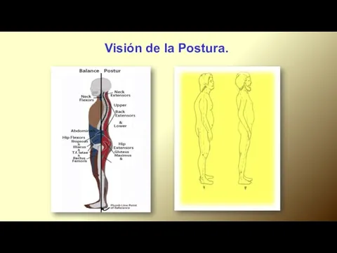 Visión de la Postura..