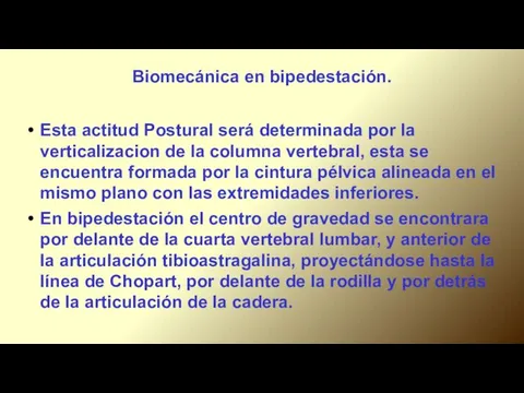 Biomecánica en bipedestación. Esta actitud Postural será determinada por la verticalizacion