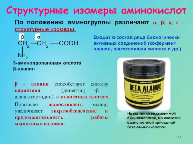 По положению аминогруппы различают α, β, γ, ε – структурные изомеры.