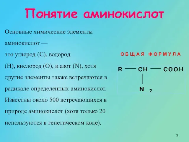 Основные химические элементы аминокислот — это углерод (C), водород (H), кислород