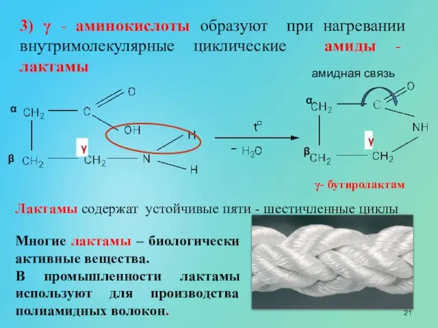 амидная связь α β α β 3) γ - аминокислоты образуют