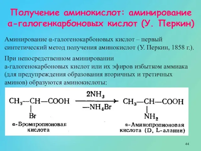 Получение аминокислот: аминирование α-галогенкарбоновых кислот (У. Перкин) Аминирование α-галогенокарбоновых кислот –