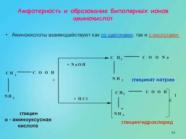 + глицингидрохлорид глицинат натрия глицин α - аминоуксусная кислота Аминокислоты взаимодействуют