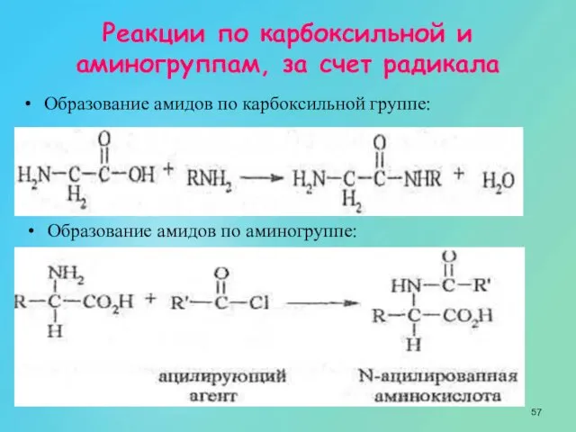 Реакции по карбоксильной и аминогруппам, за счет радикала Образование амидов по