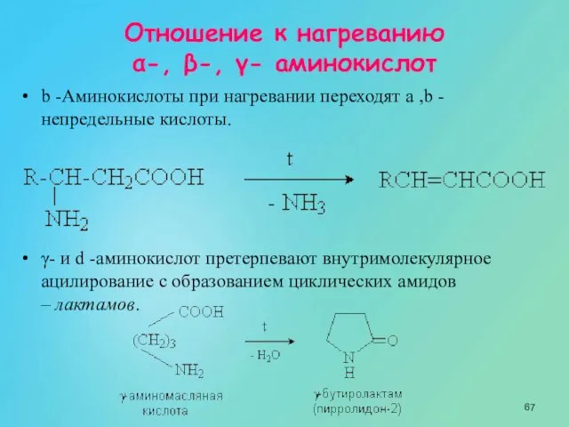 Отношение к нагреванию α-, β-, γ- аминокислот b -Аминокислоты при нагревании