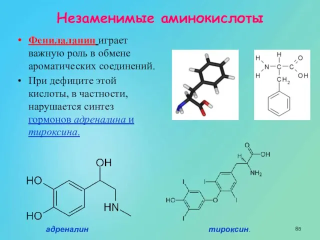Фенилаланин играет важную роль в обмене ароматических соединений. При дефиците этой