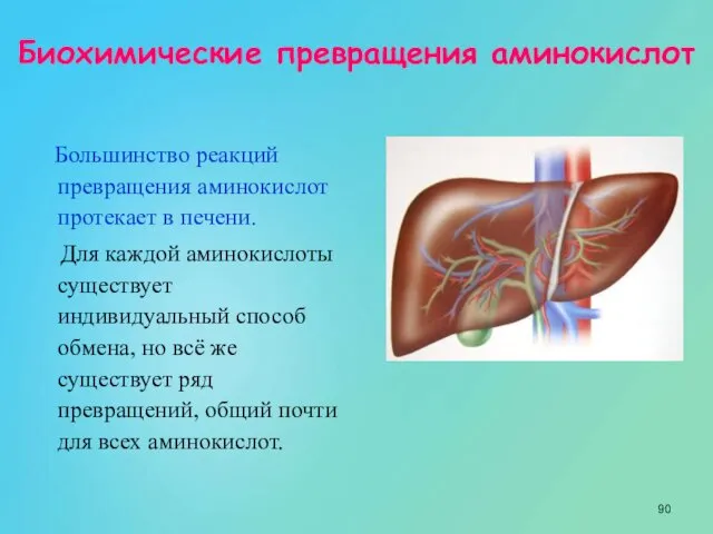 Большинство реакций превращения аминокислот протекает в печени. Для каждой аминокислоты существует