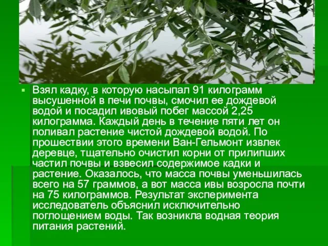 Взял кадку, в которую насыпал 91 килограмм высушенной в печи почвы,