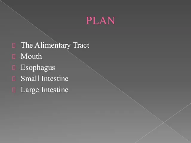 PLAN The Alimentary Tract Mouth Esophagus Small Intestine Large Intestine