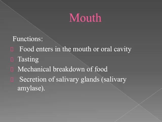 Mouth Functions: Food enters in the mouth or oral cavity Tasting