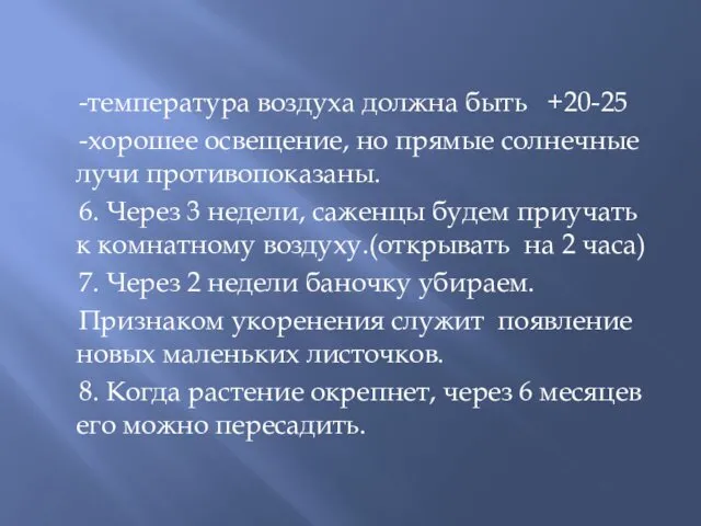 -температура воздуха должна быть +20-25 -хорошее освещение, но прямые солнечные лучи