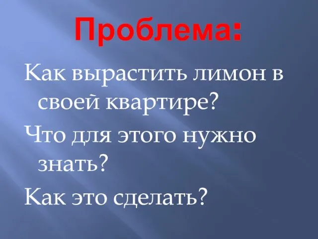 Проблема: Как вырастить лимон в своей квартире? Что для этого нужно знать? Как это сделать?