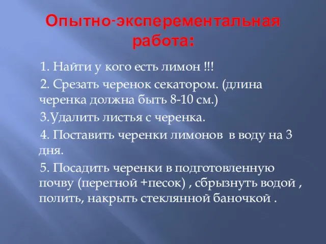 Опытно-эксперементальная работа: 1. Найти у кого есть лимон !!! 2. Срезать