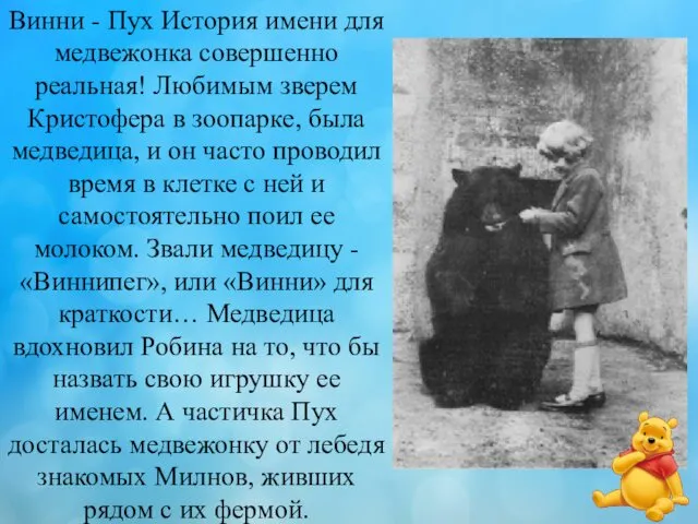 Винни - Пух История имени для медвежонка совершенно реальная! Любимым зверем