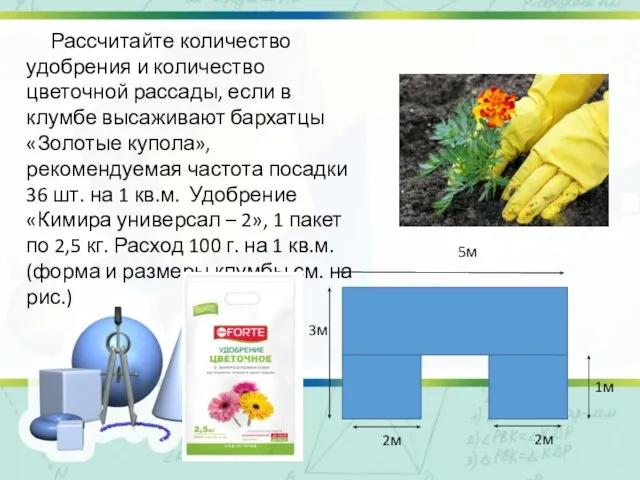 Рассчитайте количество удобрения и количество цветочной рассады, если в клумбе высаживают