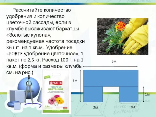 Рассчитайте количество удобрения и количество цветочной рассады, если в клумбе высаживают