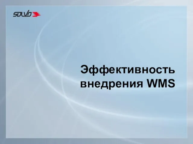 Эффективность внедрения WMS