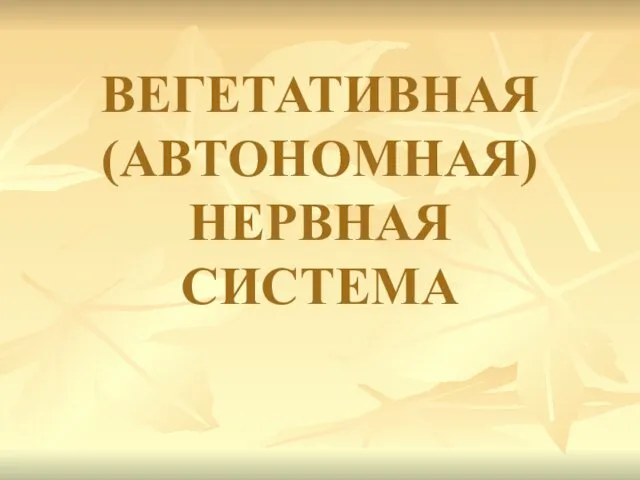 ВЕГЕТАТИВНАЯ (АВТОНОМНАЯ) НЕРВНАЯ СИСТЕМА