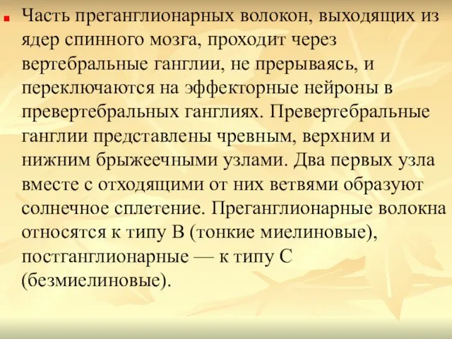 Часть преганглионарных волокон, выходящих из ядер спинного мозга, проходит через вертебральные