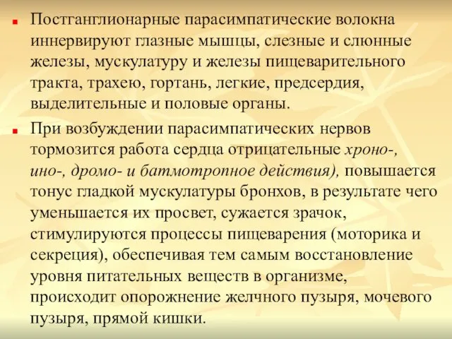 Постганглионарные парасимпатические волокна иннервируют глазные мышцы, слезные и слюнные железы, мускулатуру