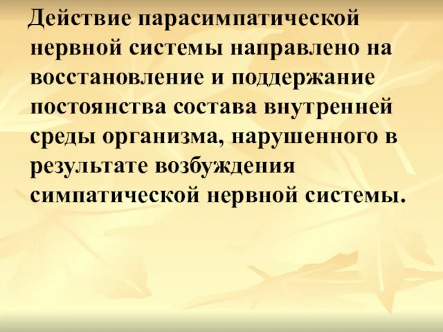 Действие парасимпатической нервной системы направлено на восстановление и поддержание постоянства состава