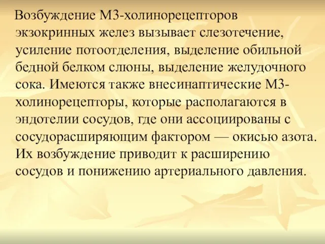 Возбуждение М3-холинорецепторов экзокринных желез вызывает слезотечение, усиление потоотделения, выделение обильной бедной