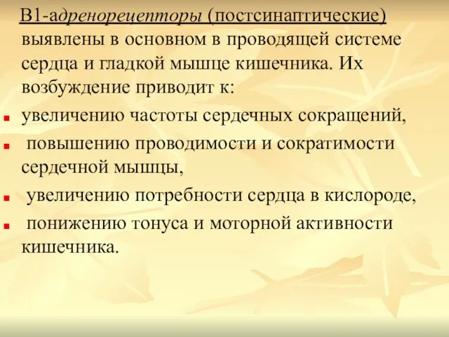 Β1-адренорецепторы (постсинаптические) выявлены в основном в проводящей системе сердца и гладкой